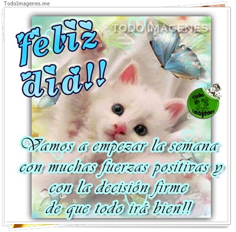imagen de 5407-20160302-034057