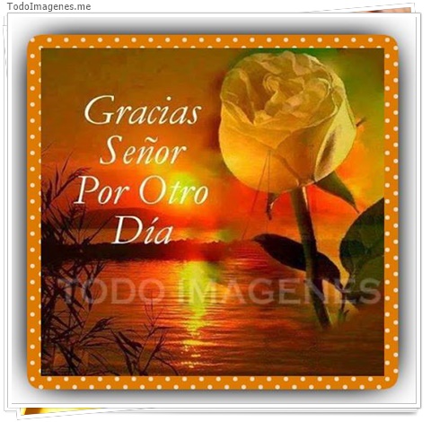 imagen de 2645-20160302-033851