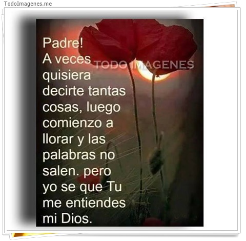 imagen de 6153-20160302-034131