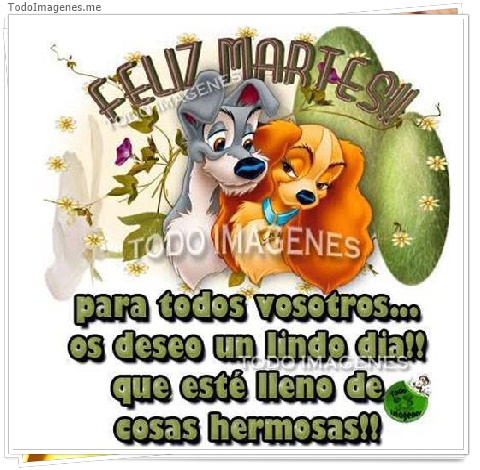 imagen de 347-20160509-130732