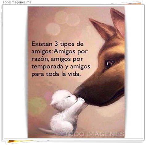 imagen de 8301-20160302-034331