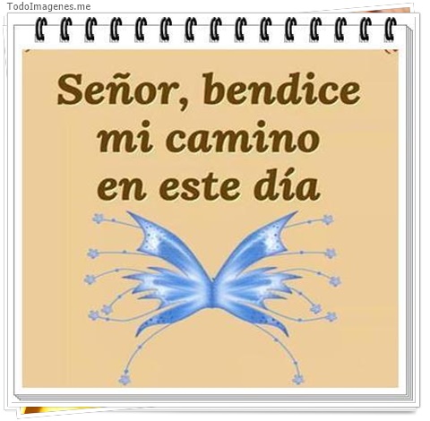 imagen de 3855-20160302-033948