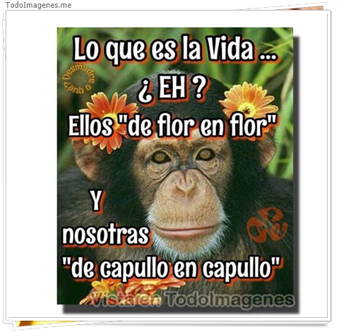 imagen de 10087-20160302-034534