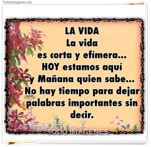 imagen de 8727-20160302-034400
