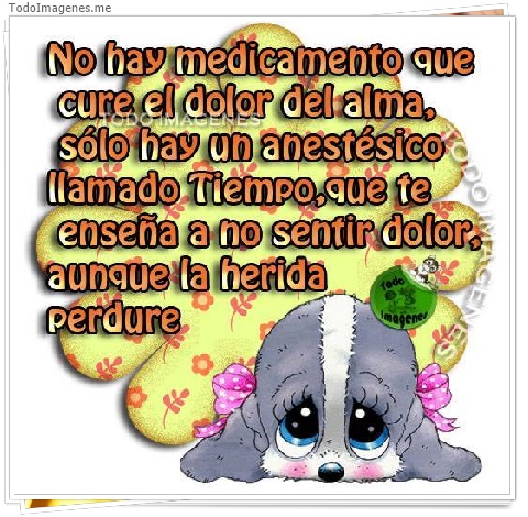 imagen de 194-20160509-130726