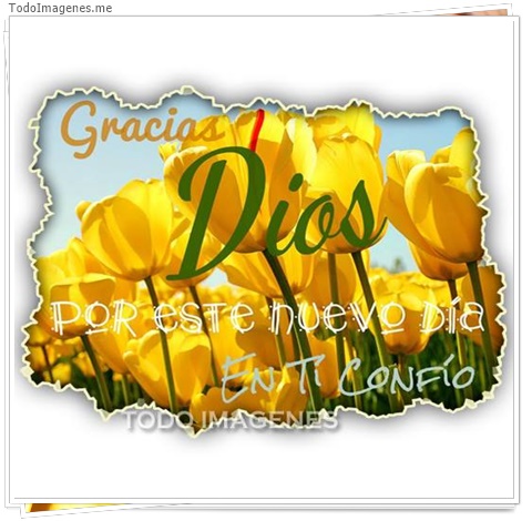 imagen de 7090-20160302-034216