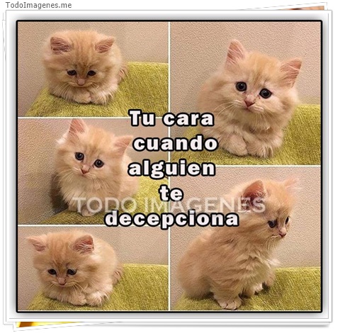 imagen de 11397-20160302-034708
