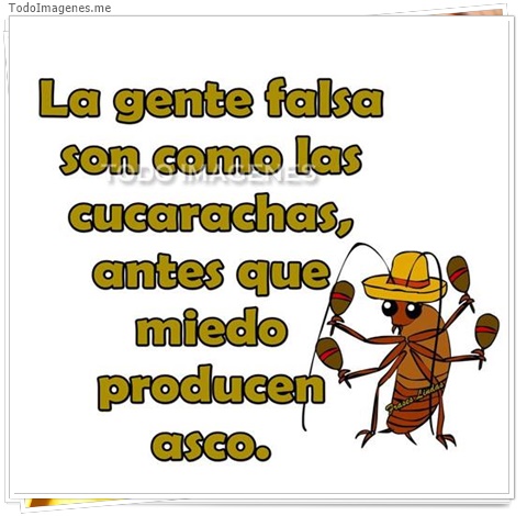 imagen de 2376-20160302-033839