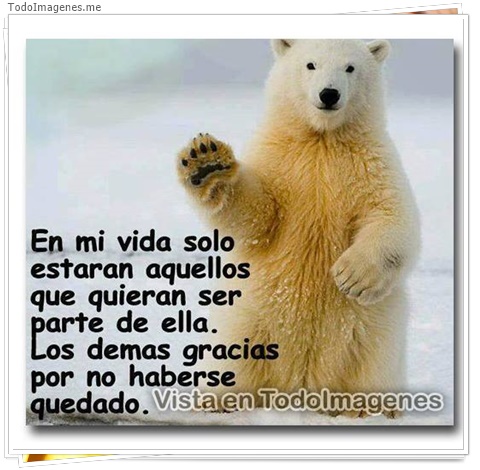 imagen de 11417-20160302-034709