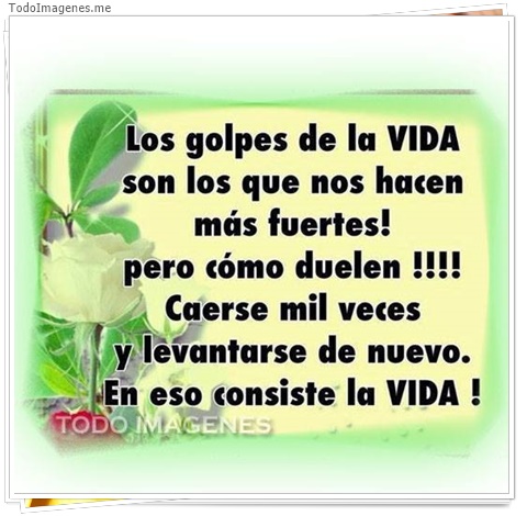 imagen de 3765-20160302-033944