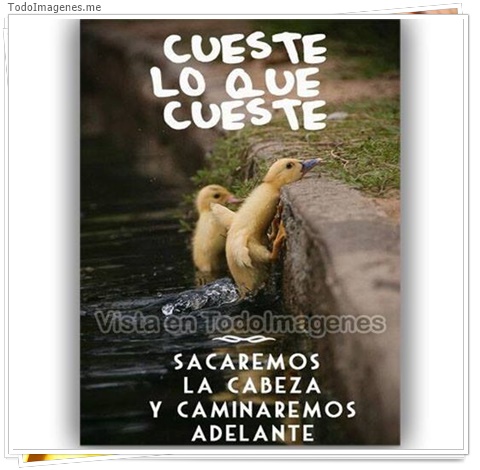 imagen de 10616-20160302-034613
