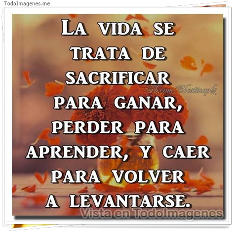 imagen de 10259-20160302-034547