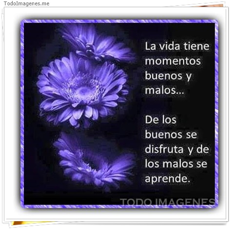 imagen de 9439-20160302-034446