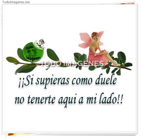 imagen de 9291-20160302-034436
