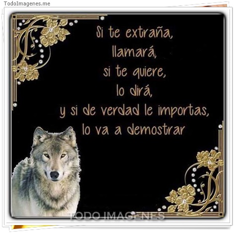 imagen de 6552-20160302-034149