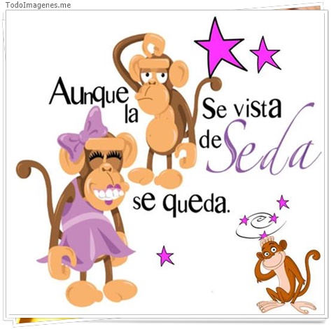 imagen de 8266-20160302-034329