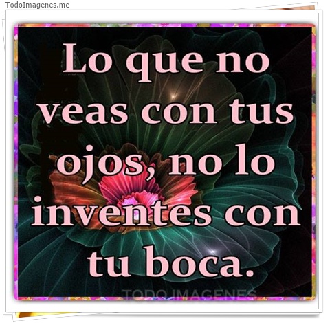 imagen de 4080-20160302-033957