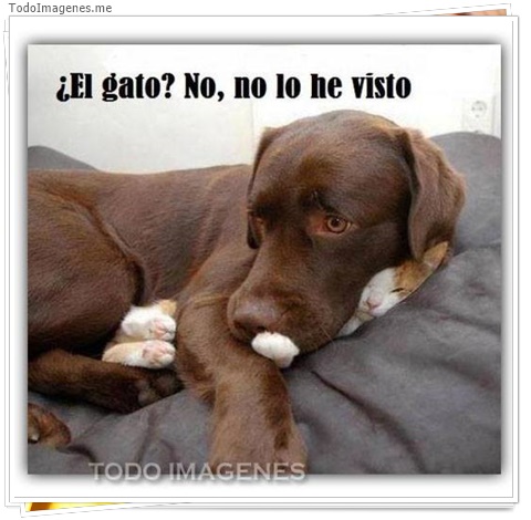 imagen de 7758-20160302-034255