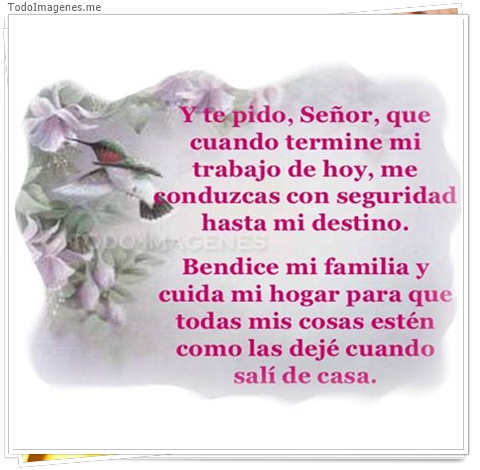 imagen de 5543-20160302-034103