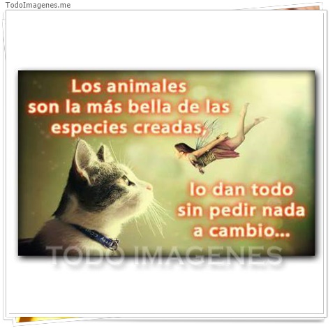 imagen de 2878-20160302-033902