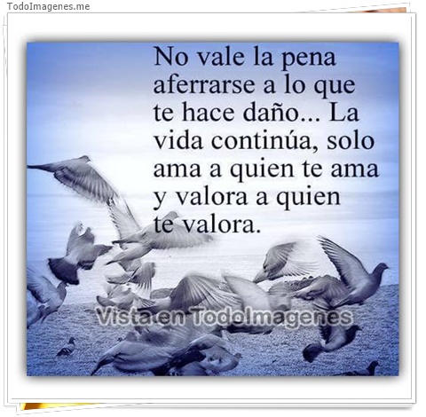 imagen de 11534-20160302-034717
