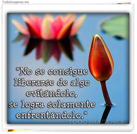 imagen de 5210-20160302-034048