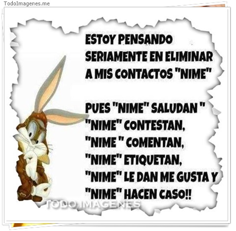 imagen de 3706-20160302-033942