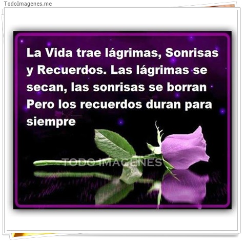 imagen de 9807-20160302-034512