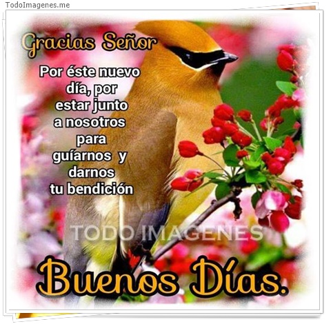 imagen de 11596-20160302-034721