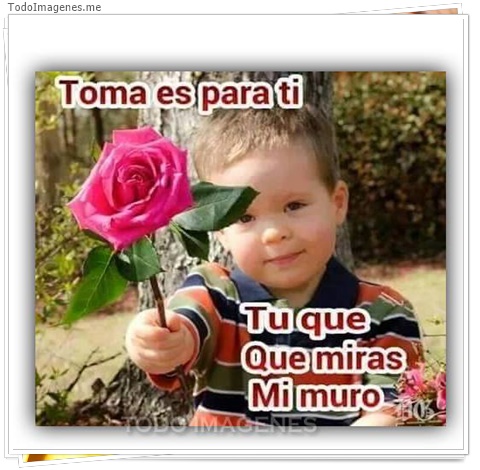 imagen de 4569-20160302-034018