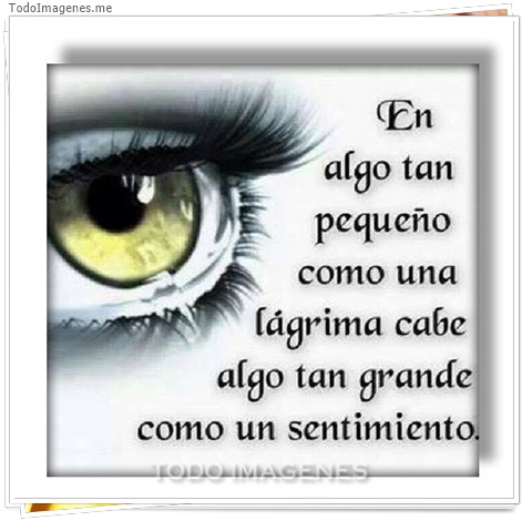 imagen de 4898-20160302-034033
