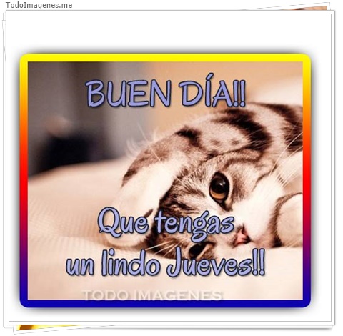 imagen de 3871-20160302-033948