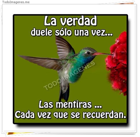 imagen de 2932-20160302-033905