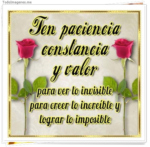 imagen de 1559-20160302-033802