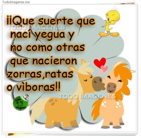 imagen de 5192-20160302-034047