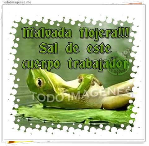 imagen de 089-20160919-181833