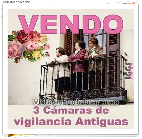 imagen de 11254-20160302-034658