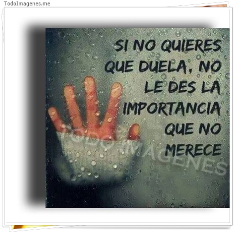 imagen de 2471-20160302-033844