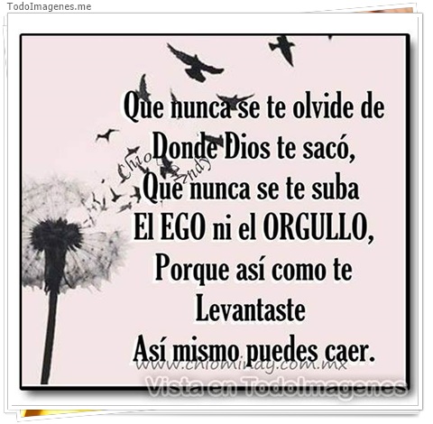 imagen de 289-20160302-033704