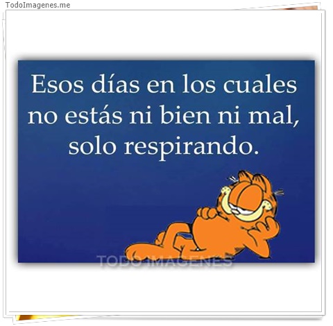 imagen de 3424-20160302-033927