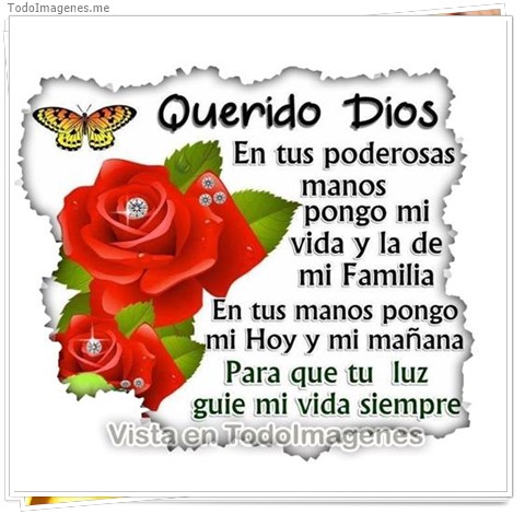 imagen de 049-20161018-195224