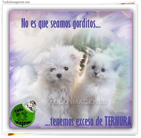 imagen de 8349-20160302-034335