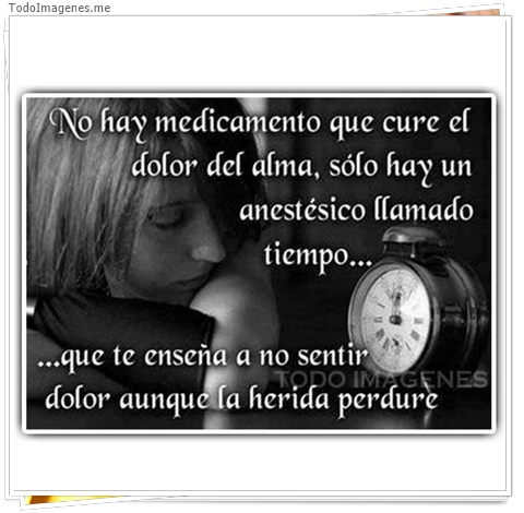 imagen de 3599-20160302-033936