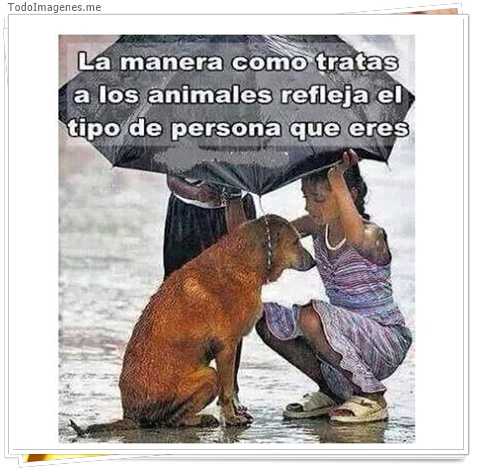imagen de 1054-20160302-033740
