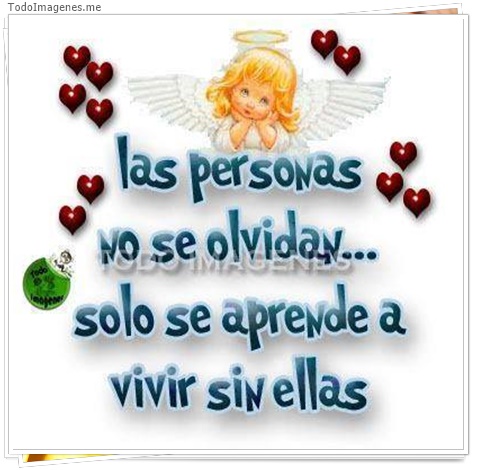 imagen de 8113-20160302-034318