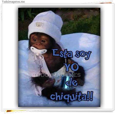 imagen de 5045-20160302-034041