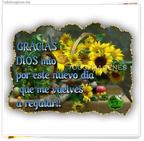 imagen de 068-20161127-111609