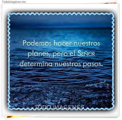 imagen de 5916-20160302-034120