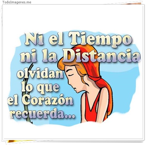 imagen de 4992-20160302-034037