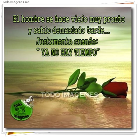 imagen de 9087-20160302-034423